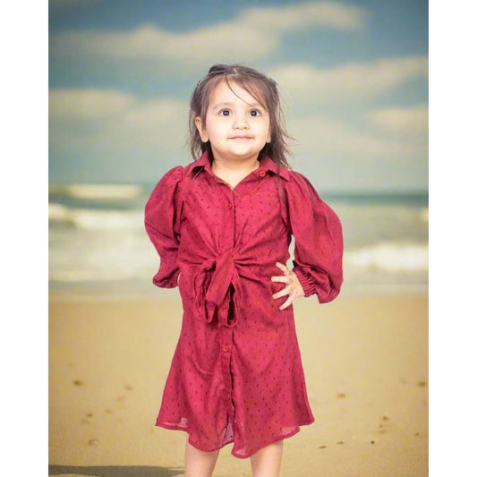 Burgundy A Line Dress